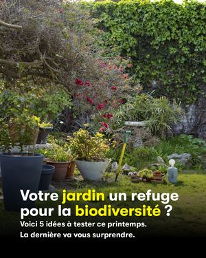 Exemple de contenu Kapaw